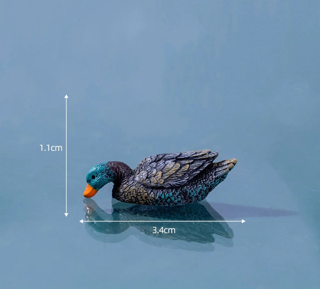 Drinking Mandarin Duck/ swan - Colour