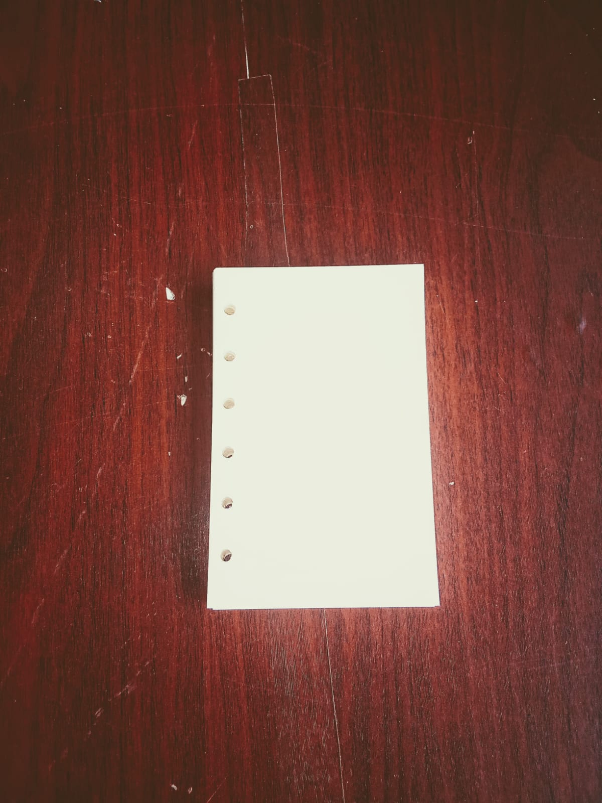 A7 Book / Diary Pages with hole - B