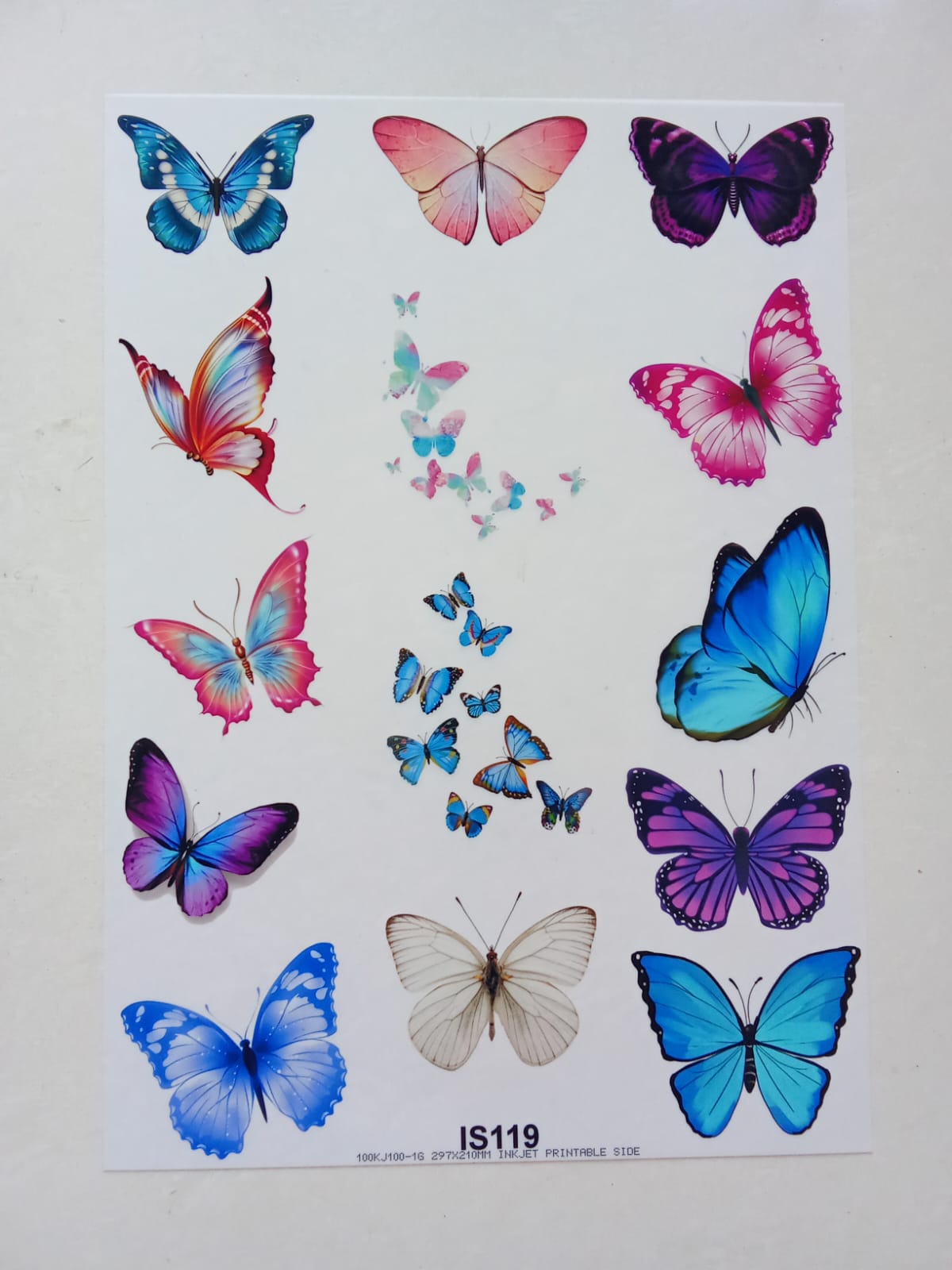Butterfly Insert sheet