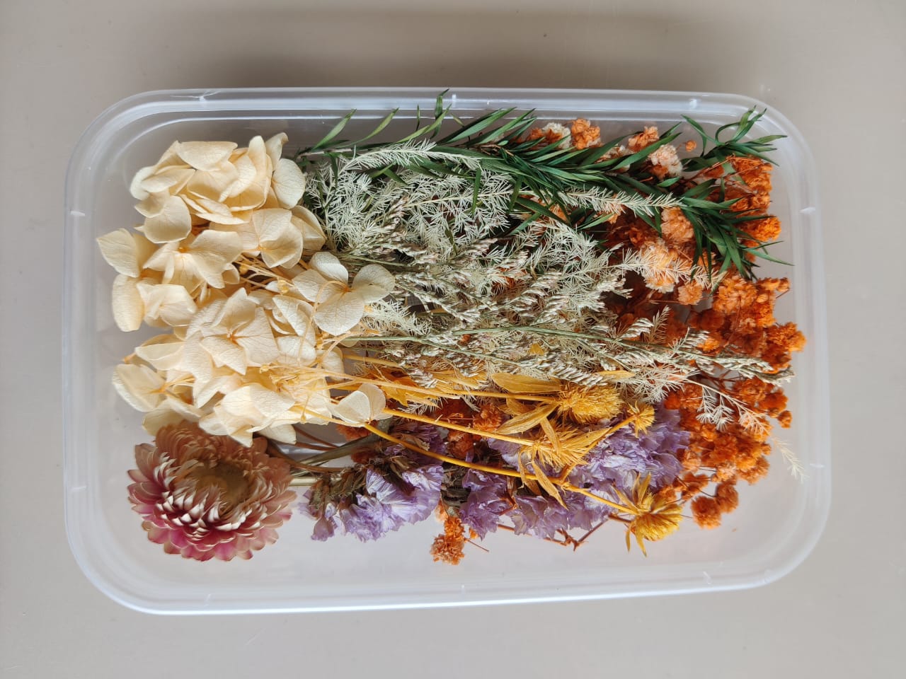 Dry flowers box - D1