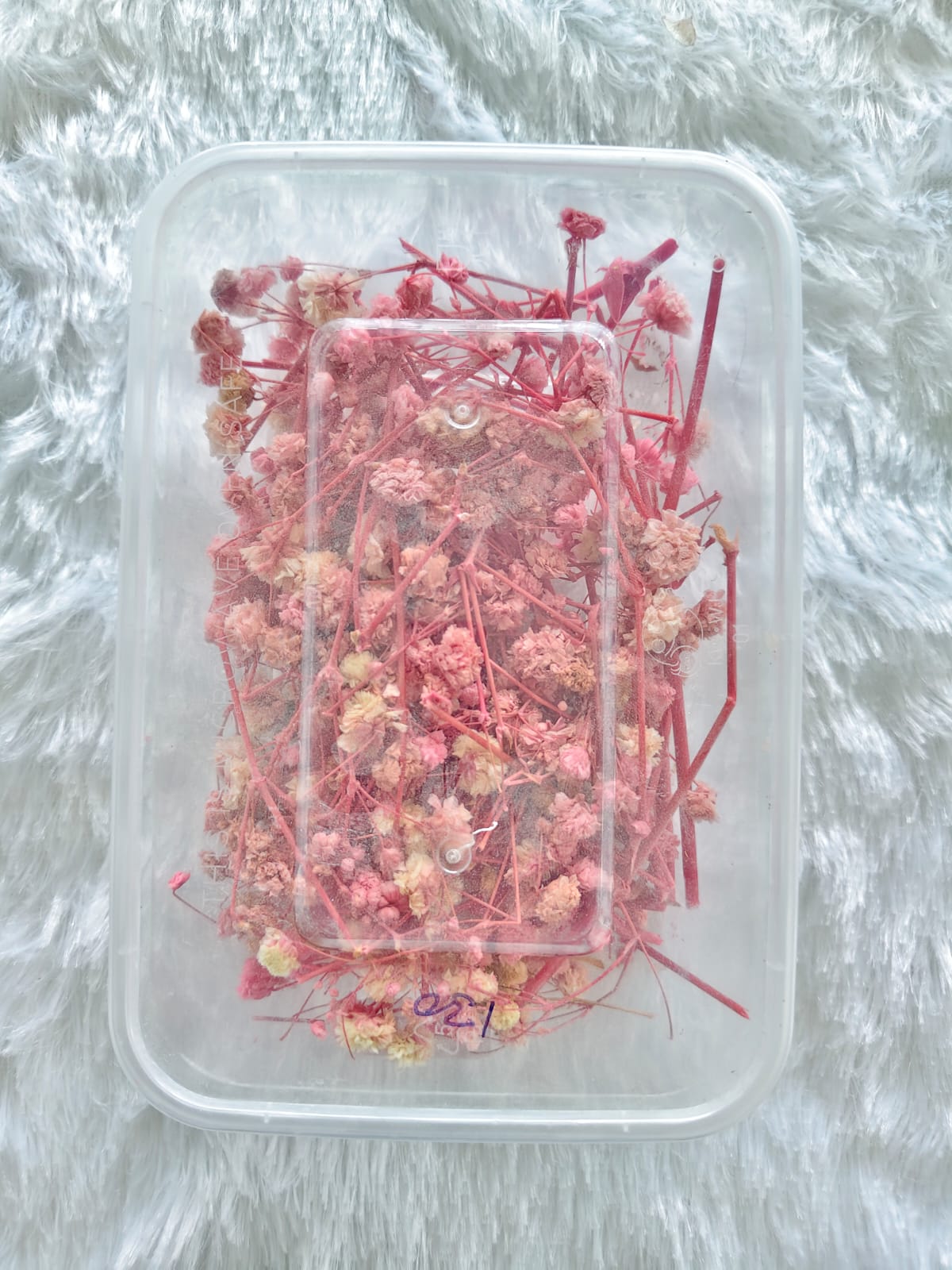 Baby Breath/Gypsy Dry Flowers - Baby Pink