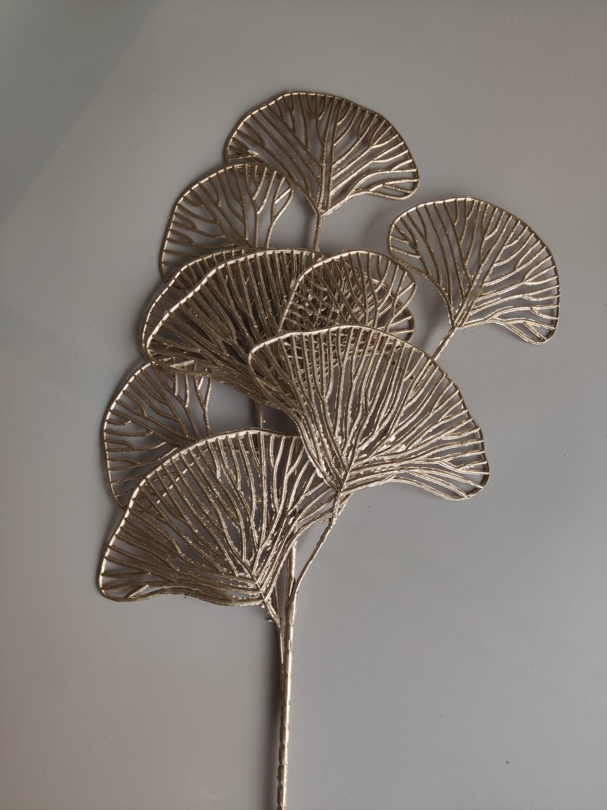 Mushroom branch