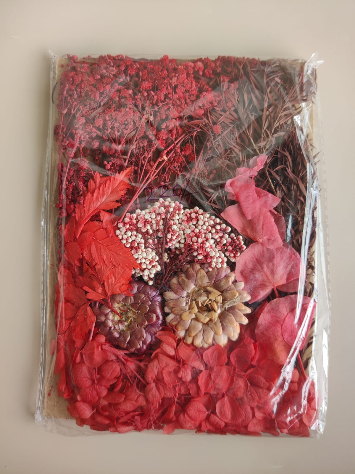 Dry Flowers F - Red