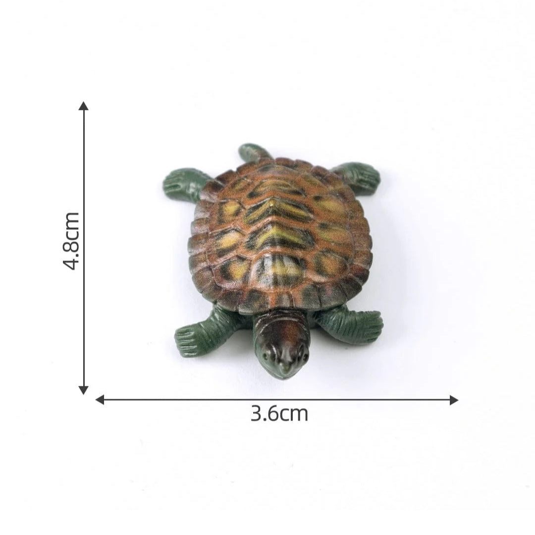 Turtle Miniature
