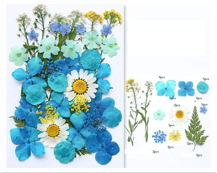 40 In 1 Pressed Flowers - O