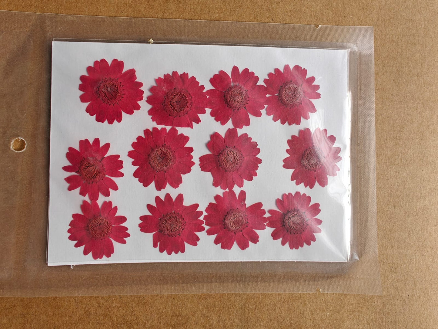 Pressed Flower - Red