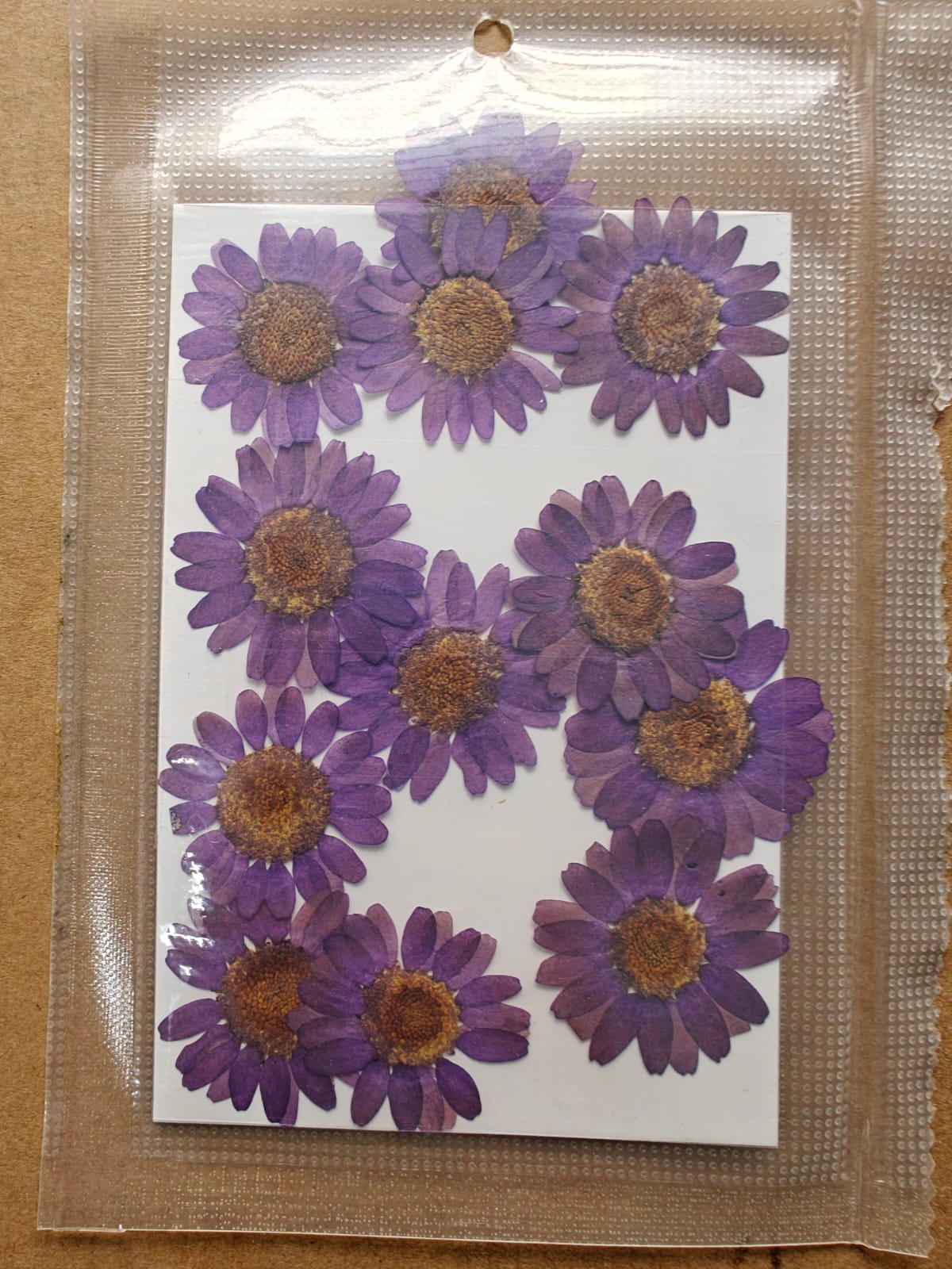 Pressed Flower - Dark purple