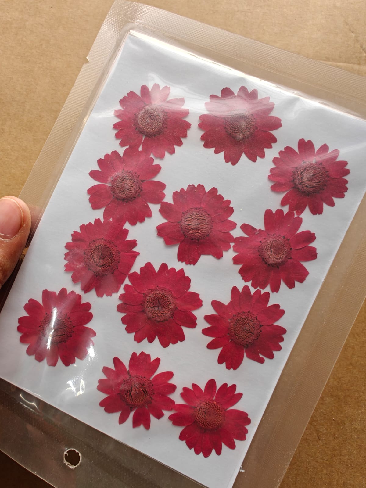 Pressed Flower - Red