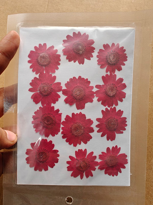 Pressed Flower - Red