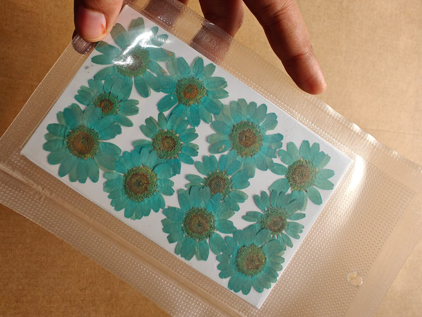 Pressed Flower - Aqua blue Green