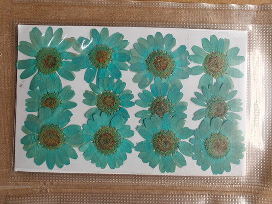 Pressed Flower - Aqua blue Green