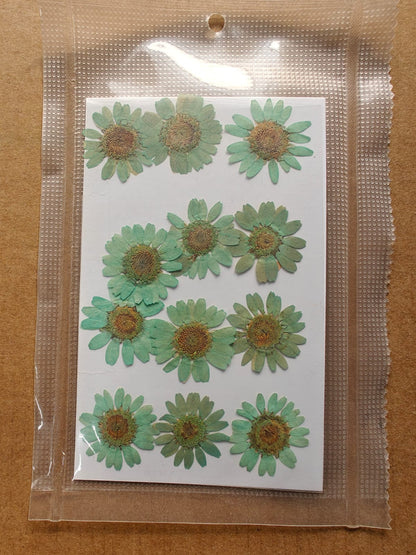 Pressed Flower -Aqua green