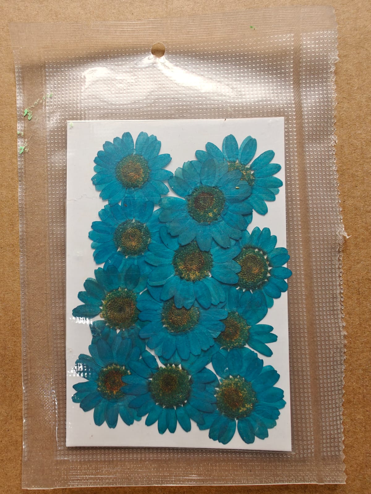 Pressed Flower - Ocean blue