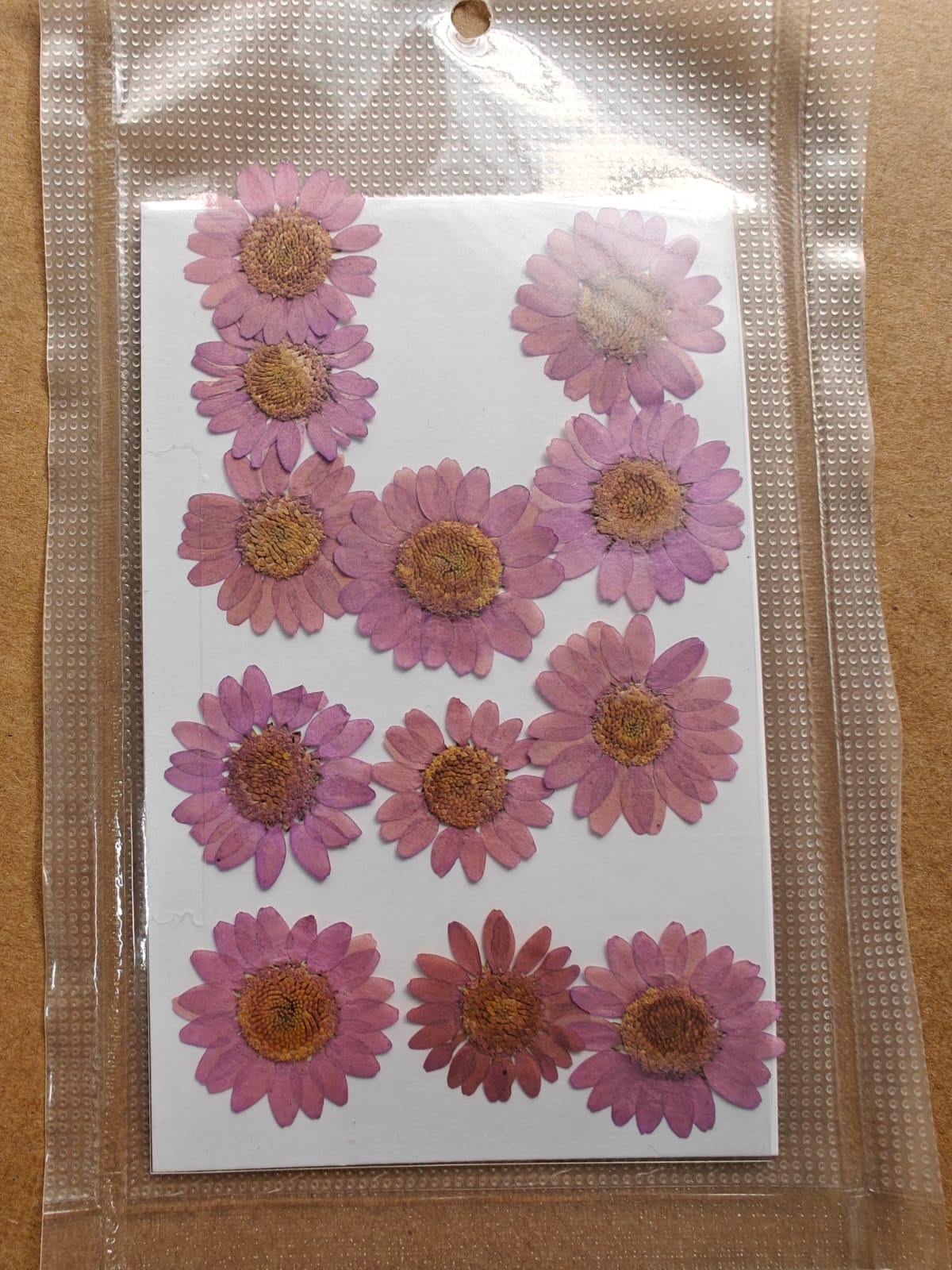 Pressed Flower - Lilac