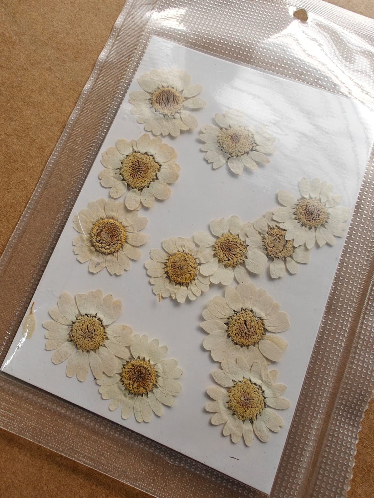 Pressed Flower - White