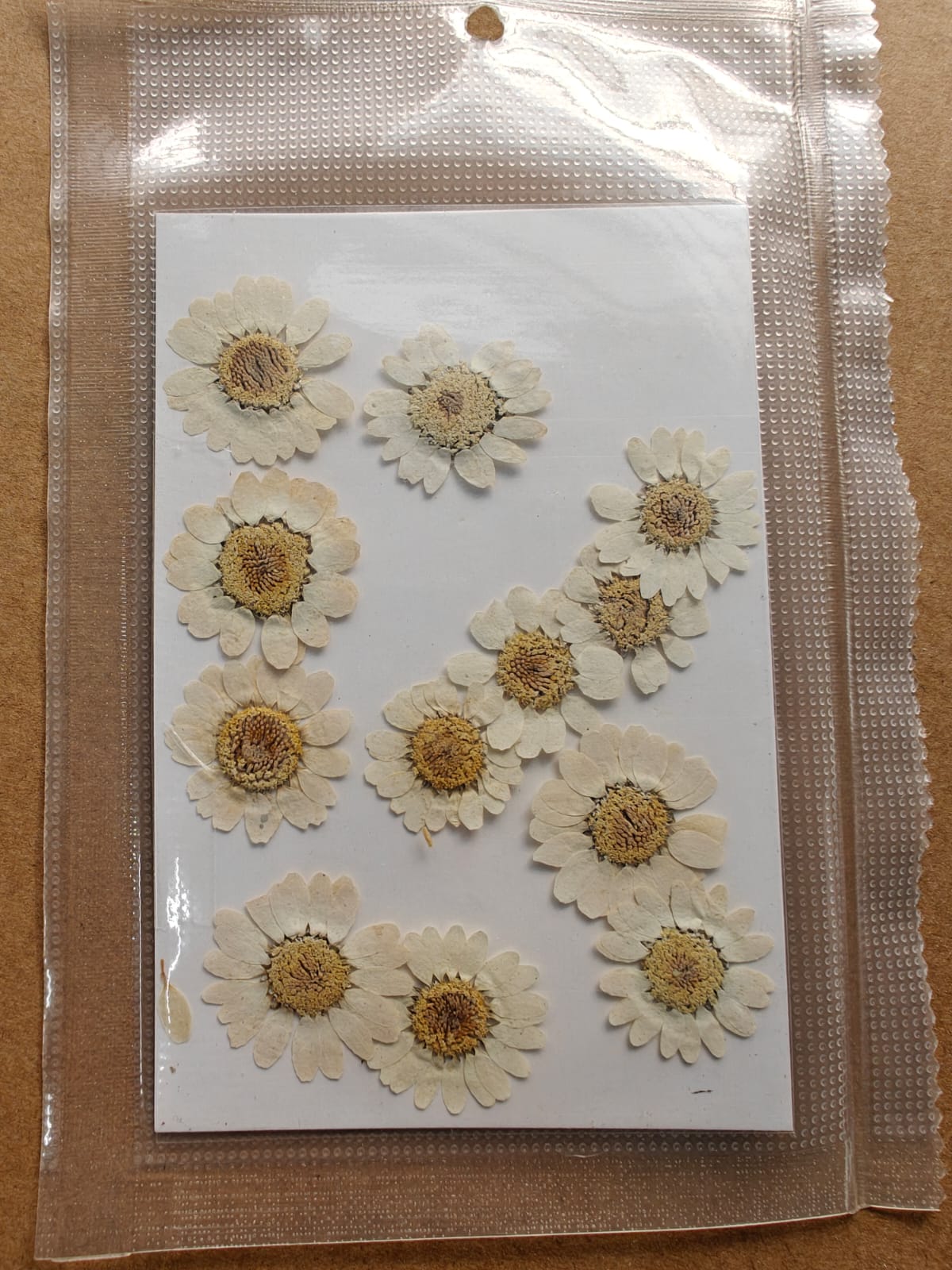 Pressed Flower - White