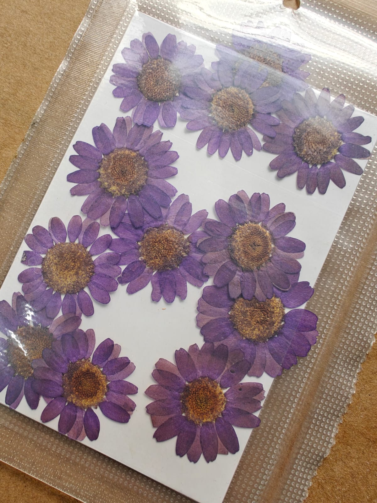 Pressed Flower - Dark purple