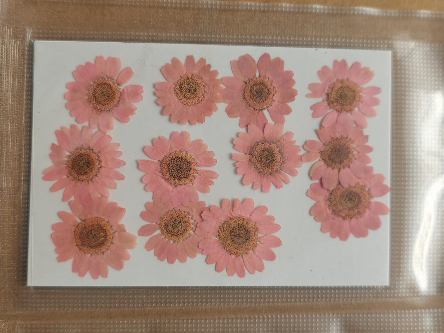 Pressed Flower - Baby pink