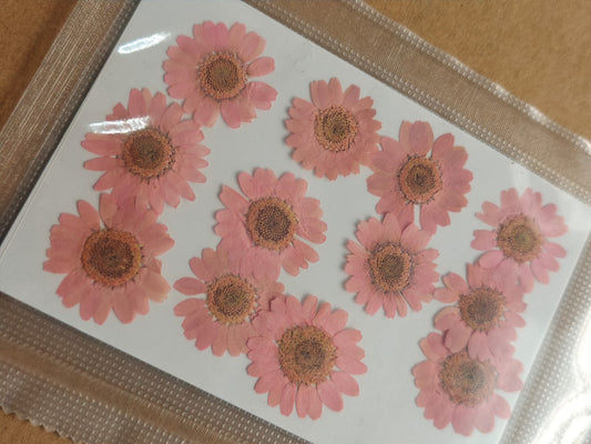 Pressed Flower - Baby pink