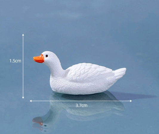 Floating Duck/ swan