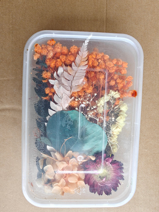 Dry flowers box - F