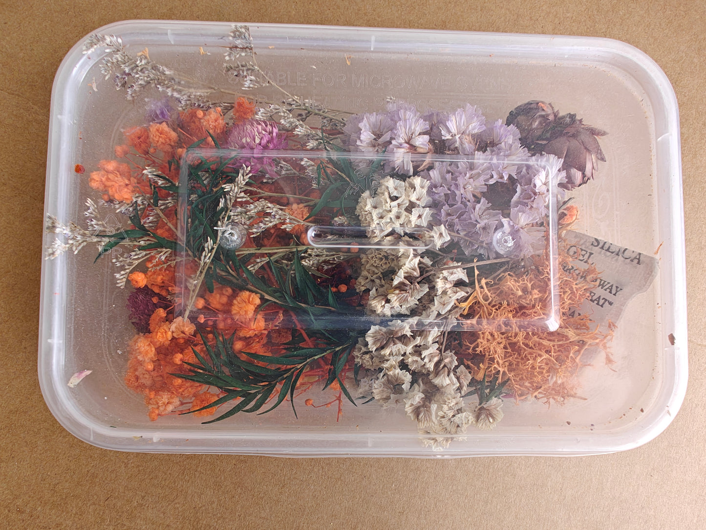 Dry flowers box - G