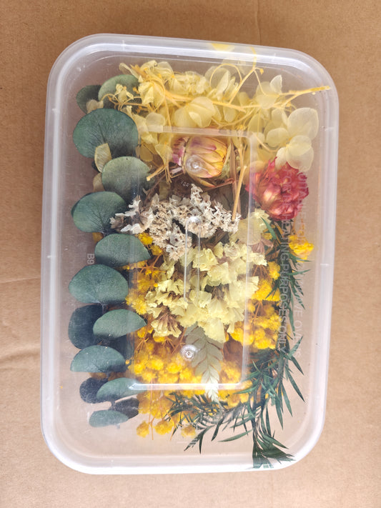 Dry flowers box - H