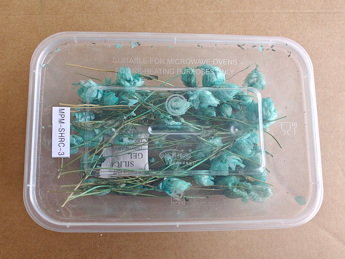 Winter rose dry flowers box - Aquamarine