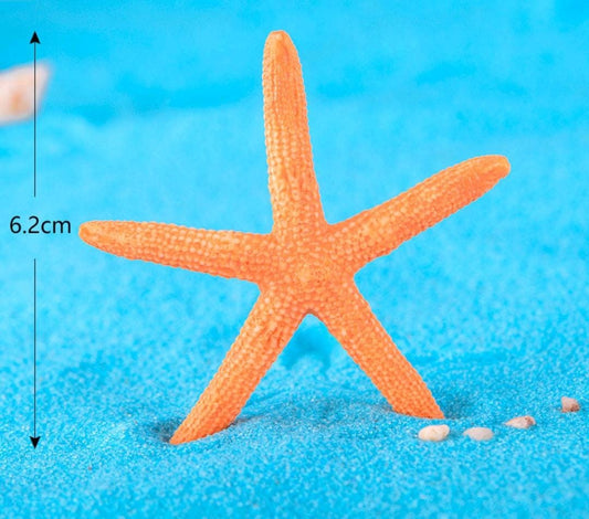 Star Fish - Pack of 2