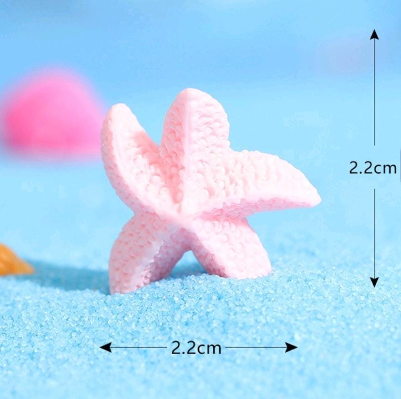 Mini Star Fish