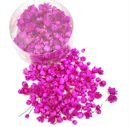 Dry small flowers box 140 pcs- Pink