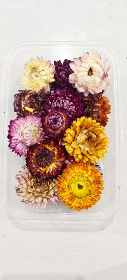 Chrysthemum dry flower box