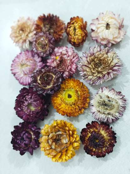 Chrysthemum dry flower box