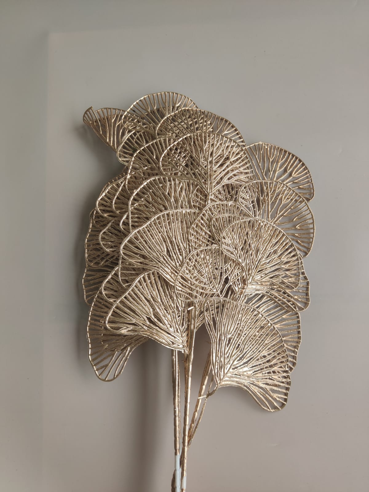 Mushroom branch