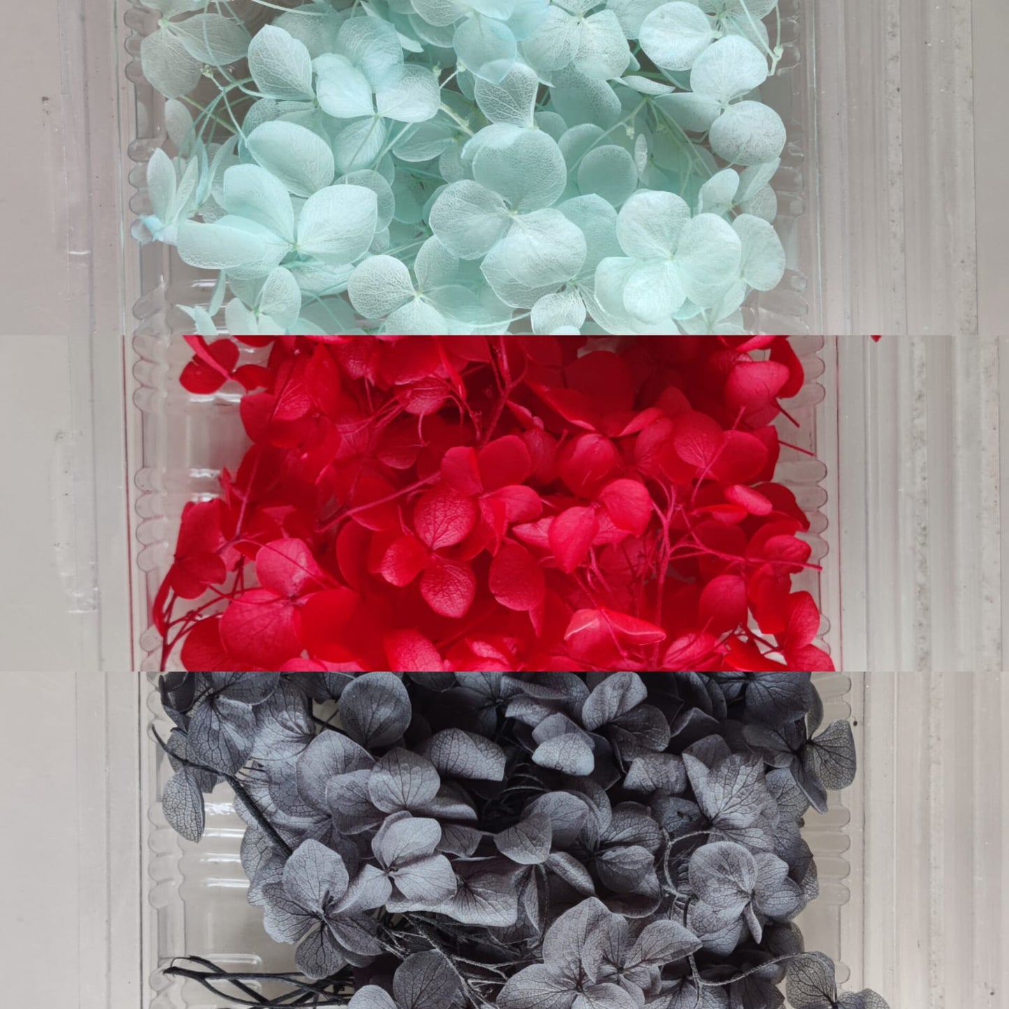 Hydrangea flowers small box