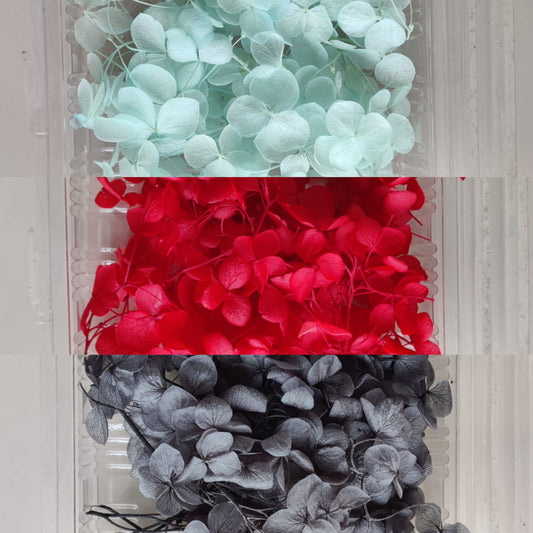 Hydrangea flowers small box