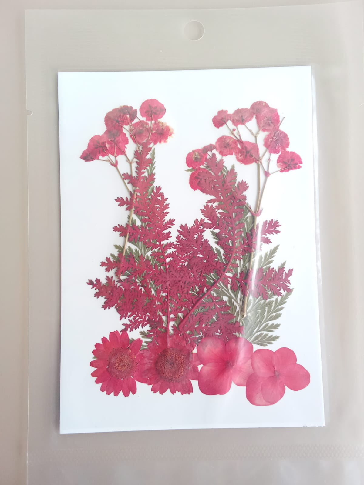 10 In 1 Pressed Flowers - Q