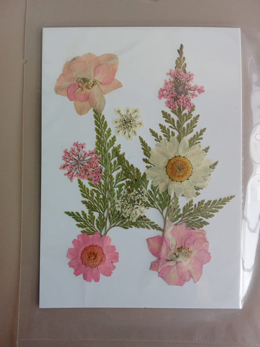 10 In 1 Pressed Flowers - R
