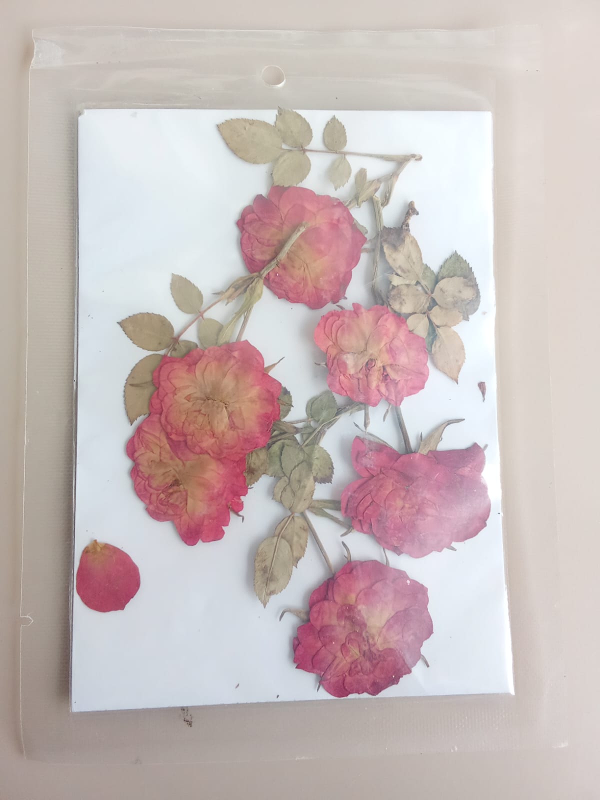 Pressed flowers - Roses with leaves