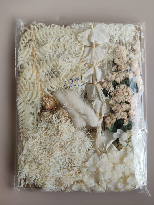 Dry Flowers 0 - Off white