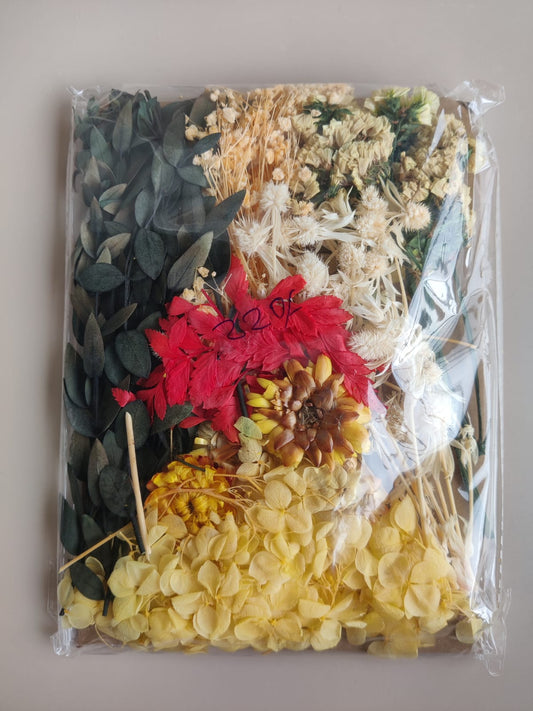 Dry Flowers J - Yellow green