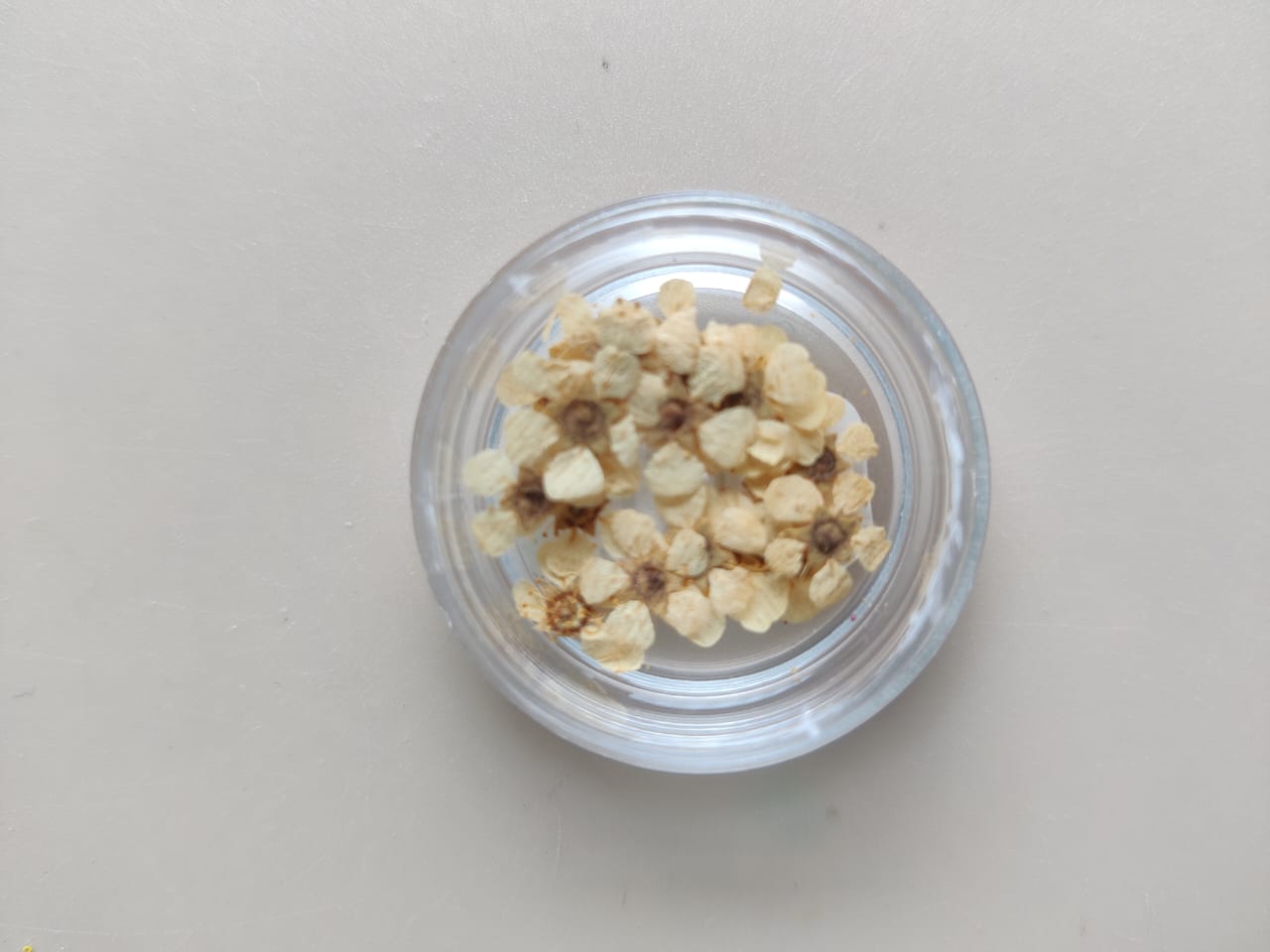 Tiny flower for jewellery - white