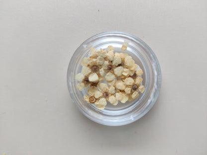 Tiny flower for jewellery - white