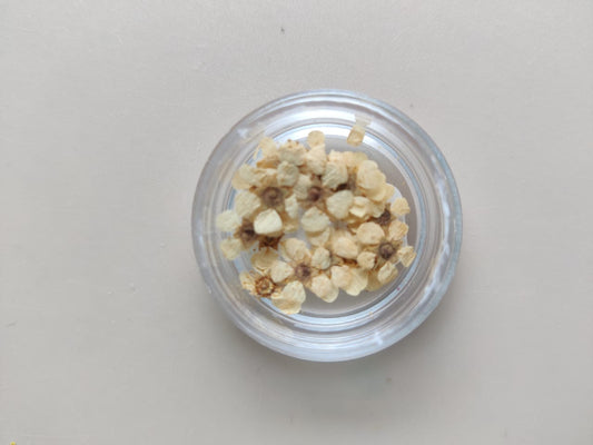 Tiny flower for jewellery - white