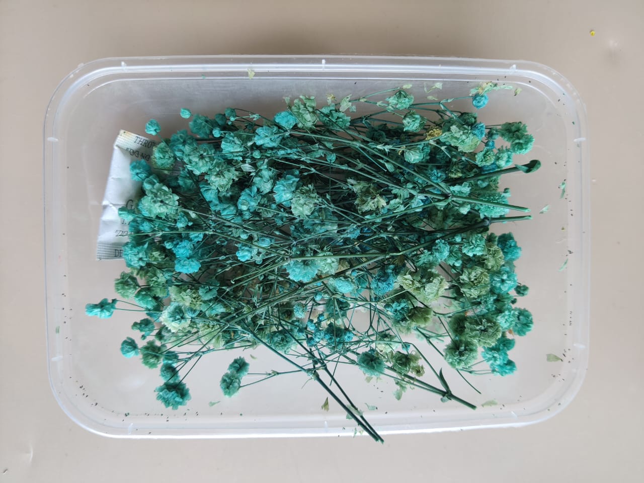 Baby breath/Gypsy dry flowers - Aqua