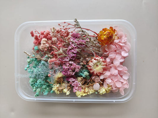 Dry flowers box - C1
