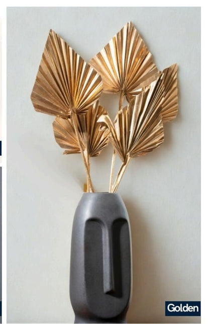 Spear Palm