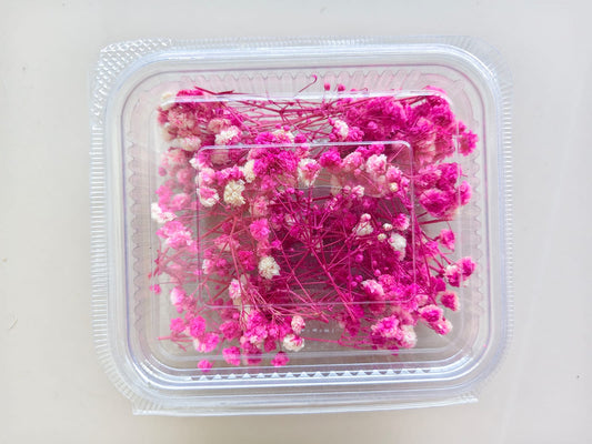 Baby breath/Gypsy dry flowers - Pink