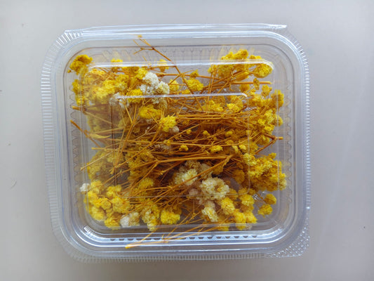 Baby breath / Gypsy dry flowers - Yellow