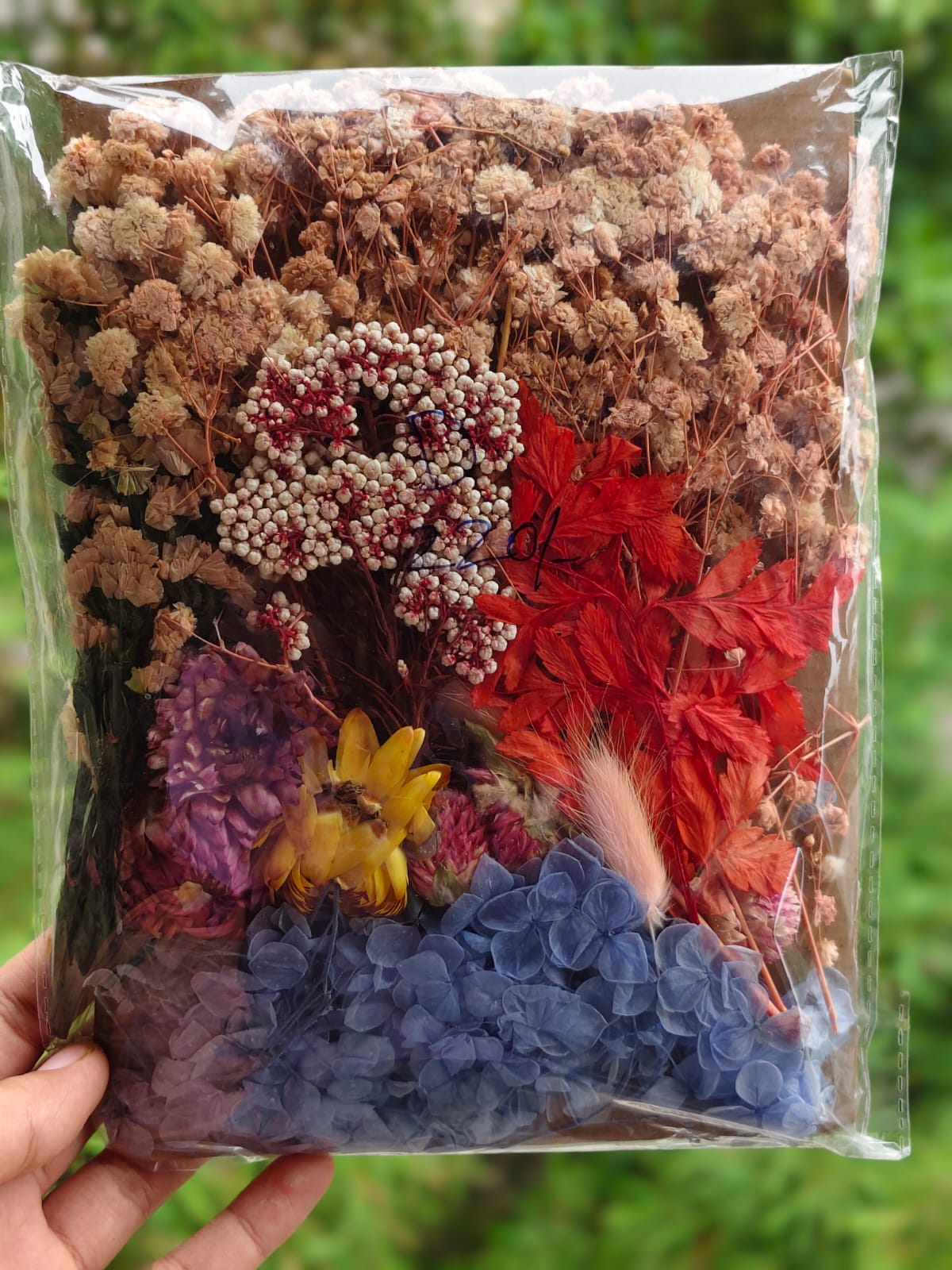 Dry Flowers D